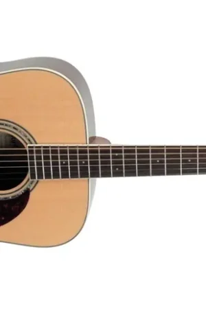 Cort EARTH100RW F/e Palissandre | Prix cassé