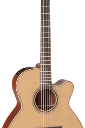 Dernière chance - Takamine P3NC Naturel