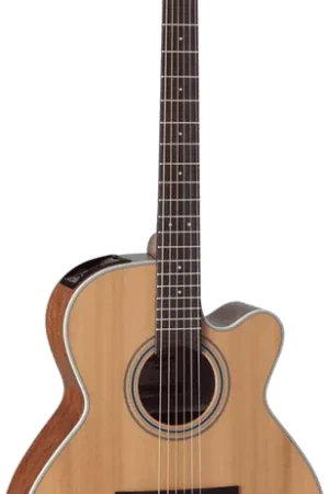 Bientôt épuisé | Takamine GN20CENS Naturel