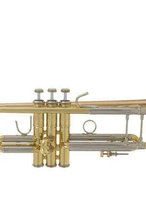Trompette Sib Bach Stradivarius 180-37G - Préféré des clients