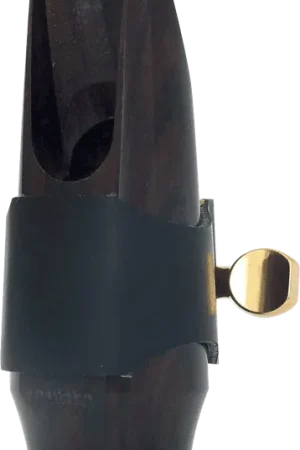 Bec Brancher Ebene L21AE Saxophone Alto - Achetez en ligne