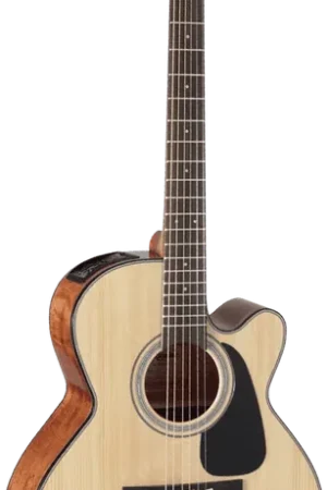 Takamine GN30CENAT Naturel - Prix promo