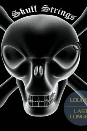 Prix imbattable - Jeu de Cordes Skull Strings Baryton 13-62