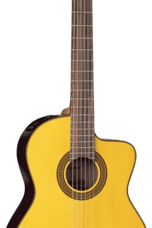 Takamine GC5CE-NAT Naturel | Super offre