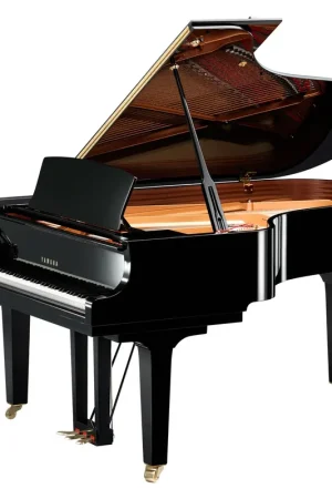 Achetez maintenant - Yamaha C5XSH3PE Silent