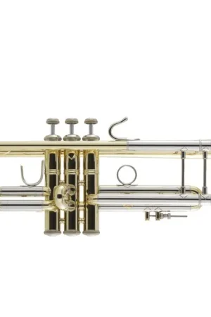 Prix spécial - Trompette Sib Bach Stradivarius 180-43 Verni