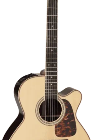 Takamine P7NC Naturel | Achetez maintenant