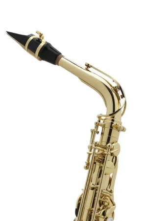 Saxophone Alto Selmer Axos - Offre exclusive